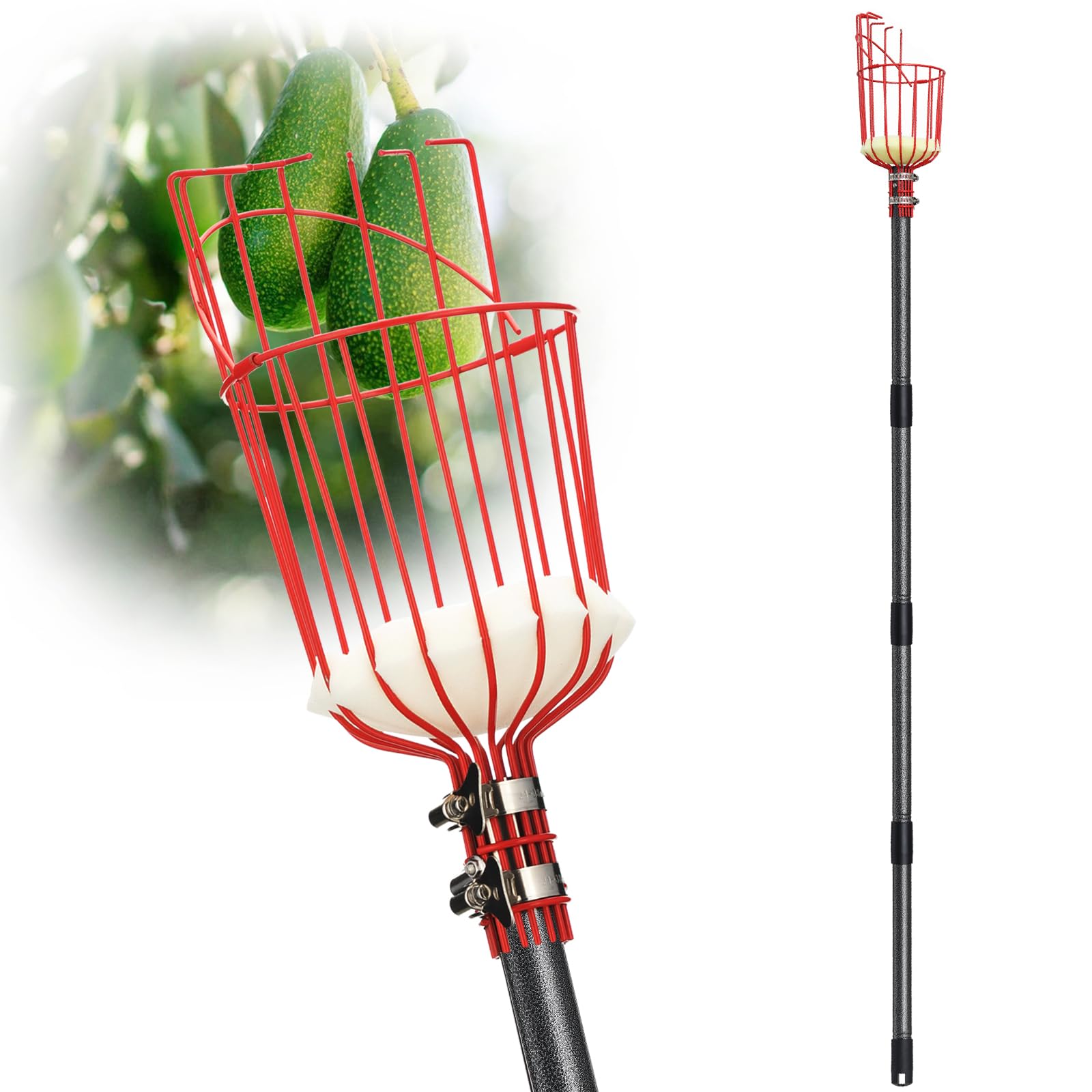 Donsail fruit picker pole with basket for easy harvest from tall trees.