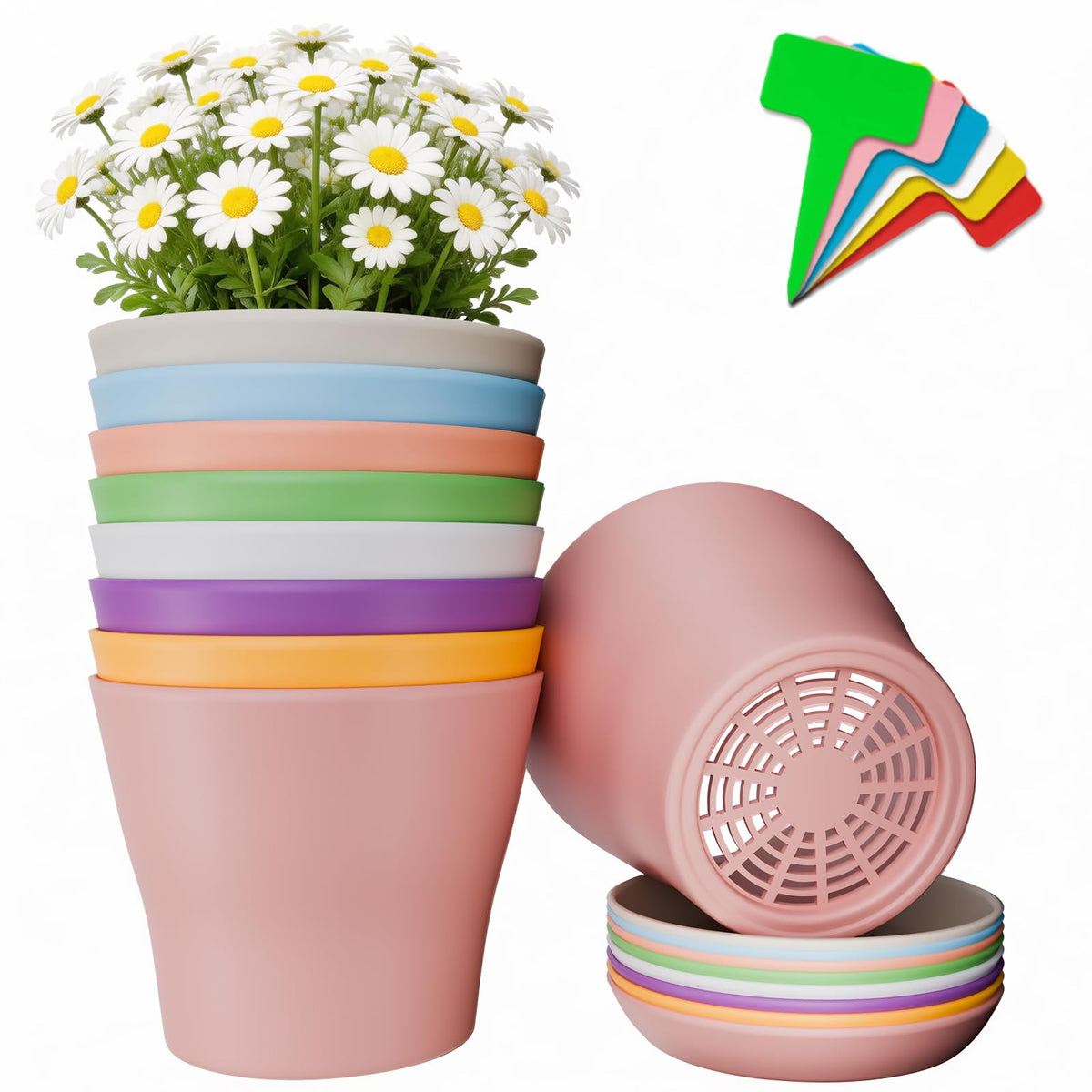 Doobbu 24-pack 4-inch pots with saucers for neat water management.