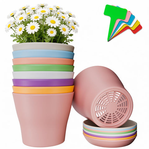 Doobbu 24-pack 4-inch pots with saucers for neat water management.