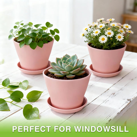 Bottom drainage holes paired with saucers help prevent spills.