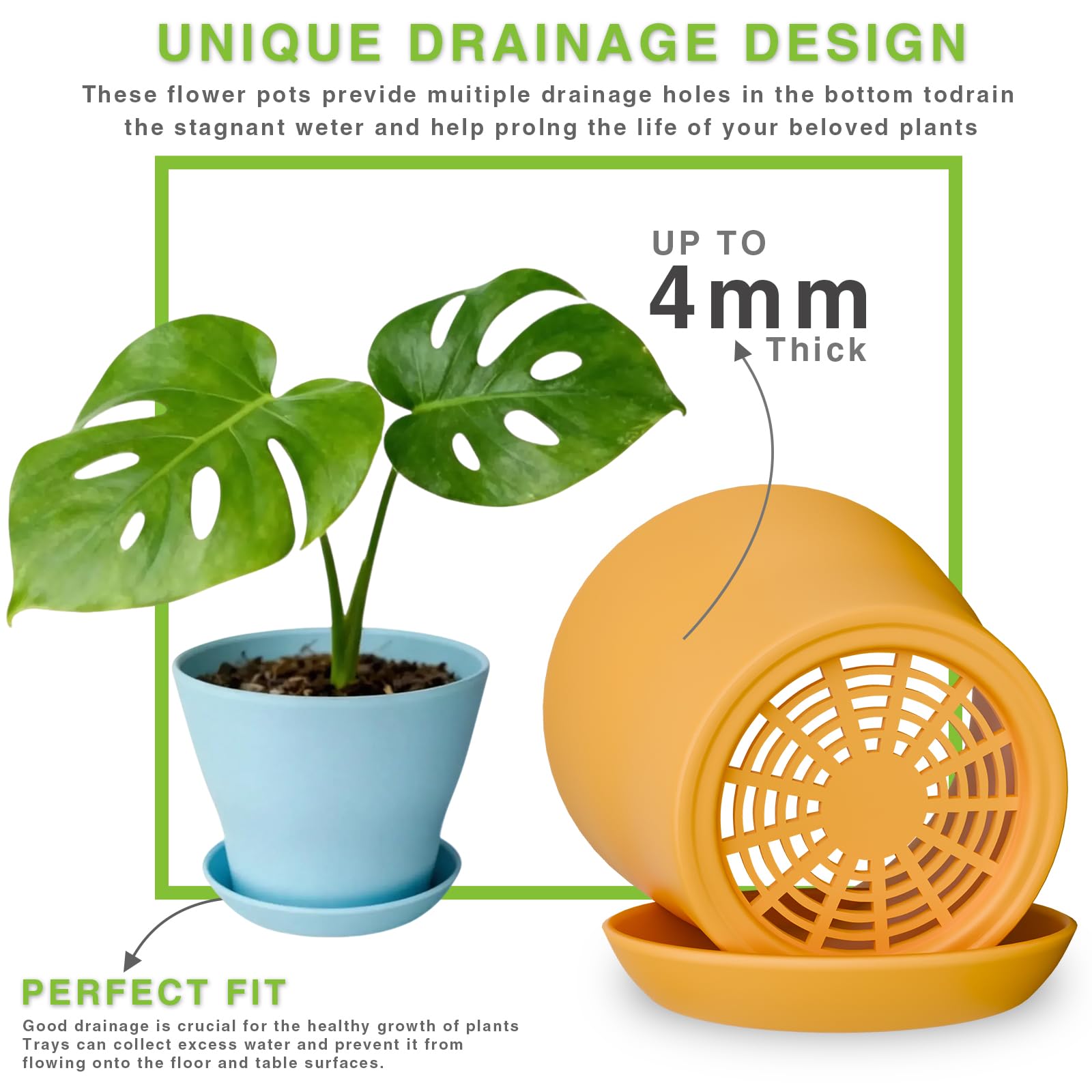 Open-design 4-inch pot supports easy transplanting and root comfort.