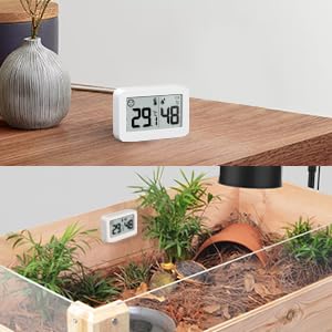 DOOMAY mini hygrometer in greenhouse or reptile setup for microclimate checks.