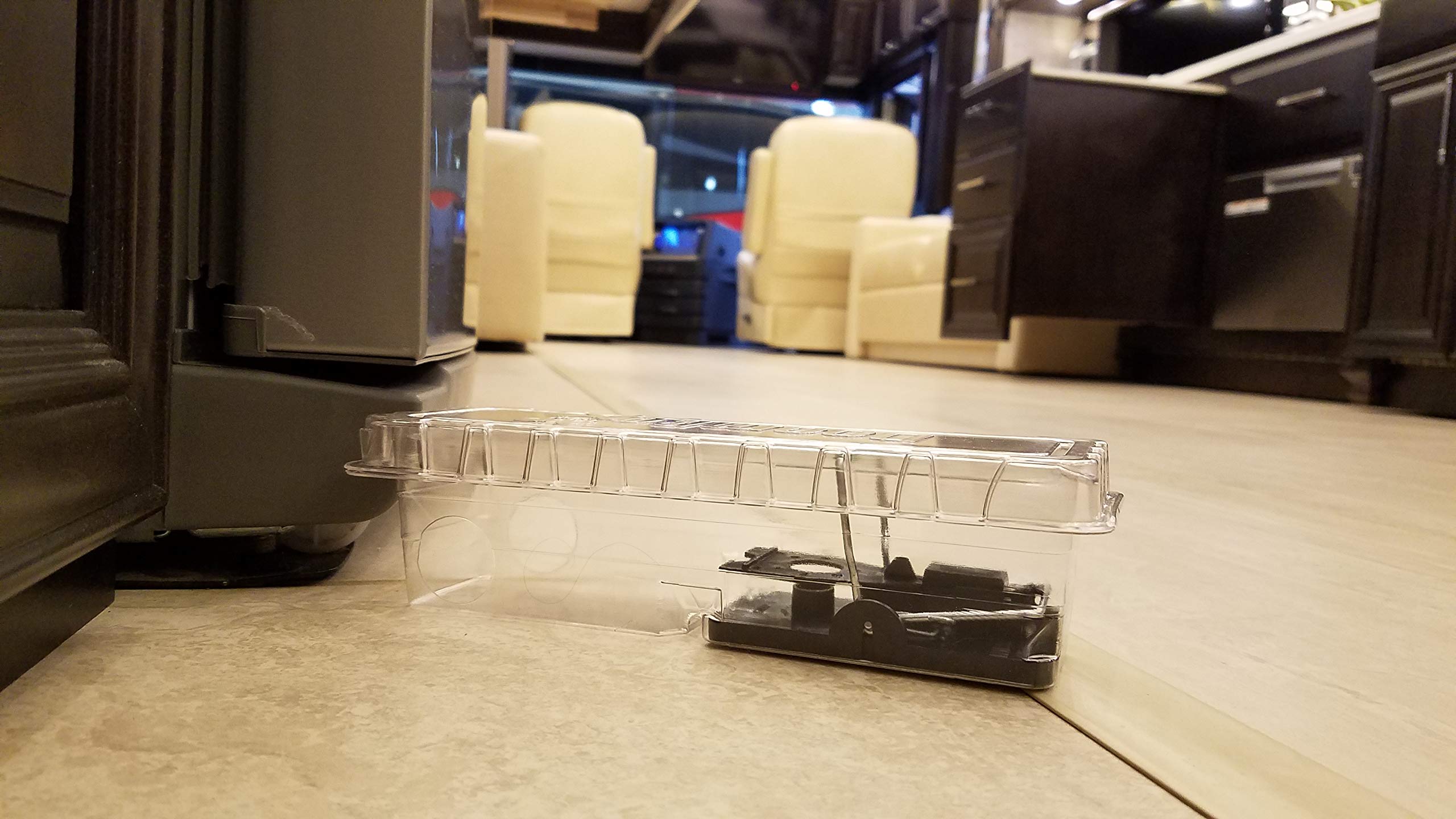 DoomBox Child-Pet Safe design reduces tampering while remaining accessible for adults.