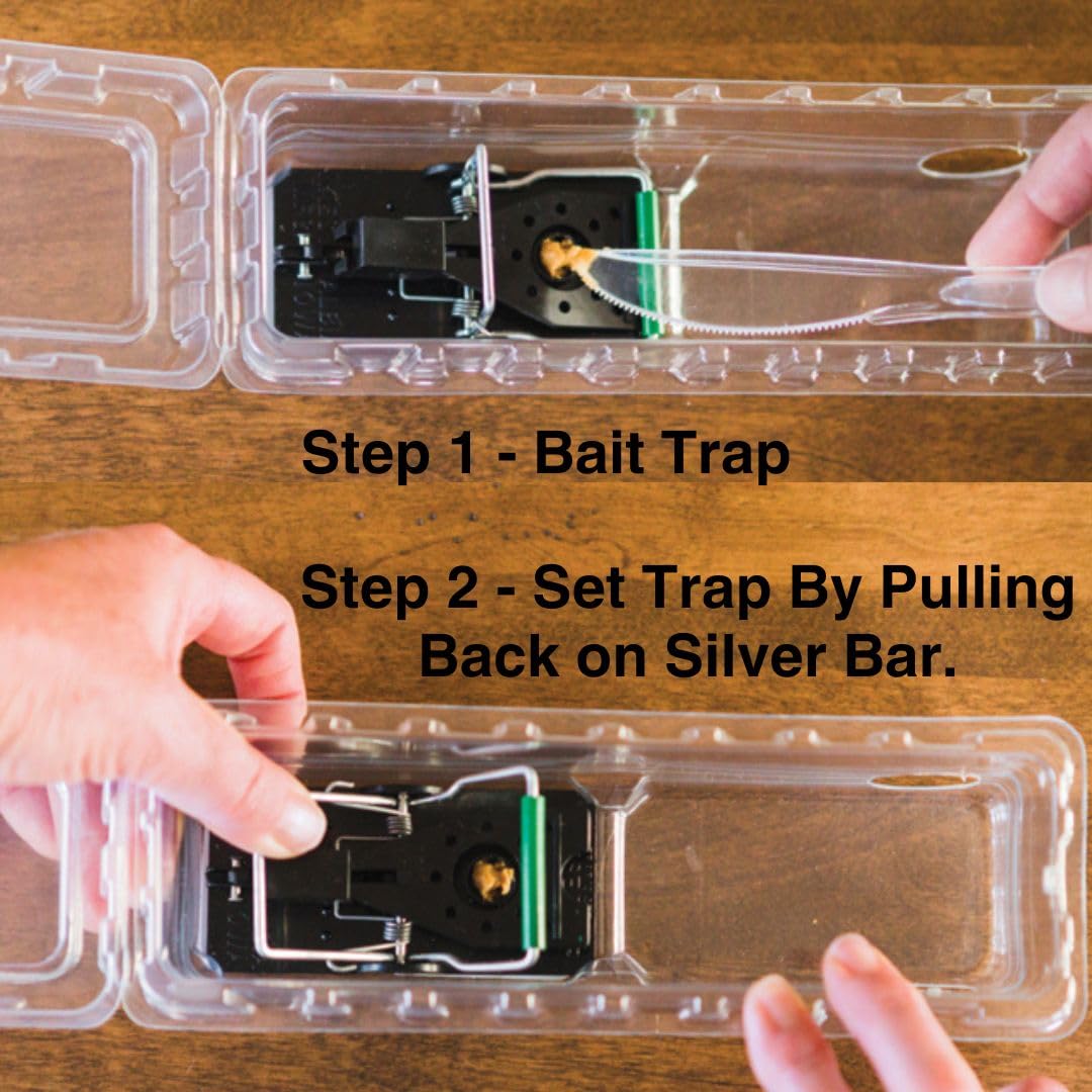 DoomBox RibLock Walls add stability to prevent accidental openings during transport.