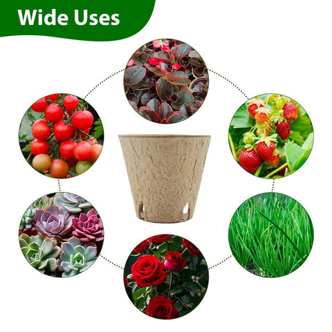 DOOPP 50-pack seedling pots with labels for organized sowing