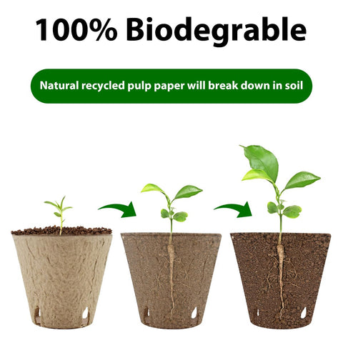 DOOPP indoor outdoor seed starter use for versatile gardening
