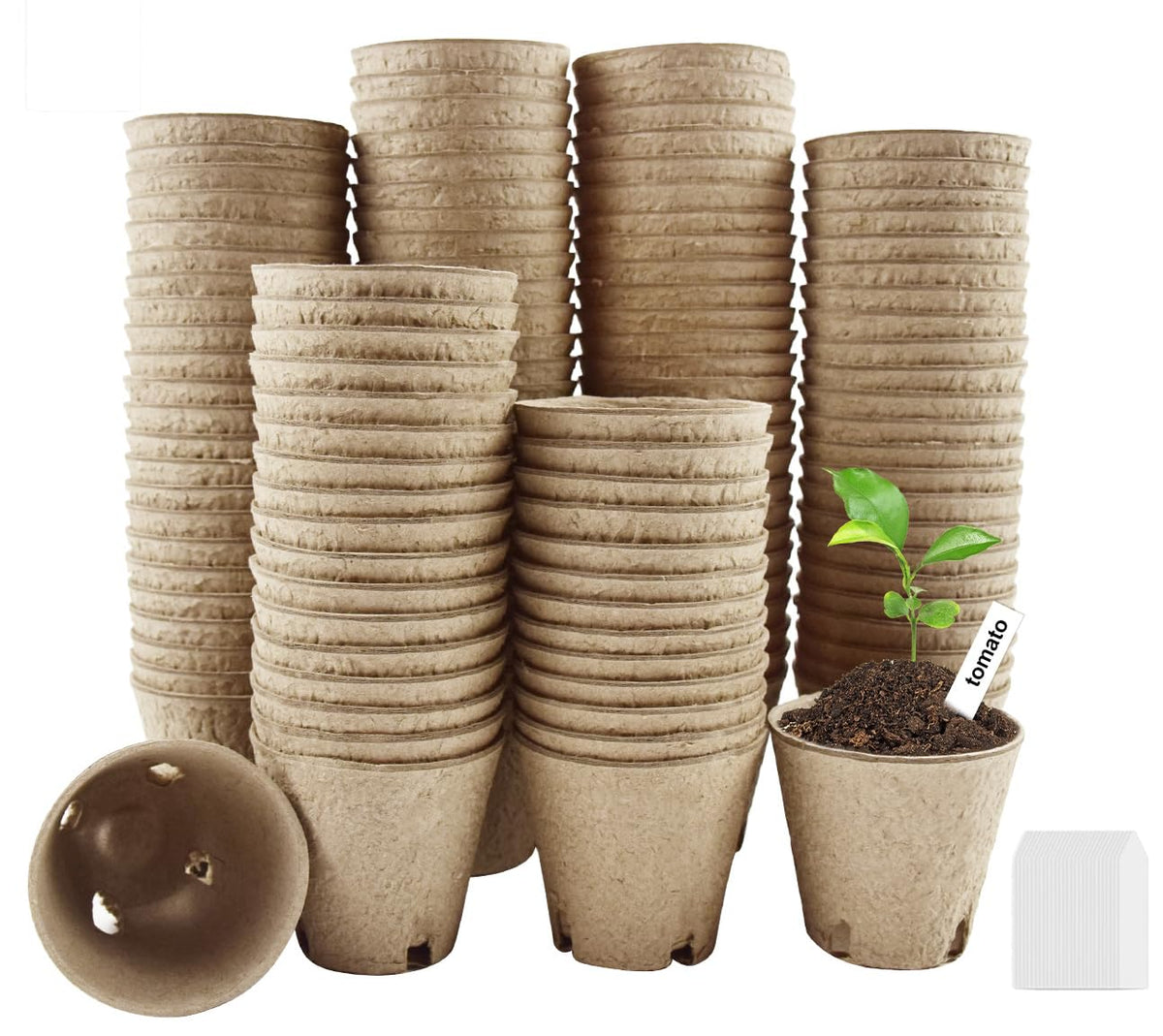 DOOPP seedling pots with drainage holes for proper moisture and airflow