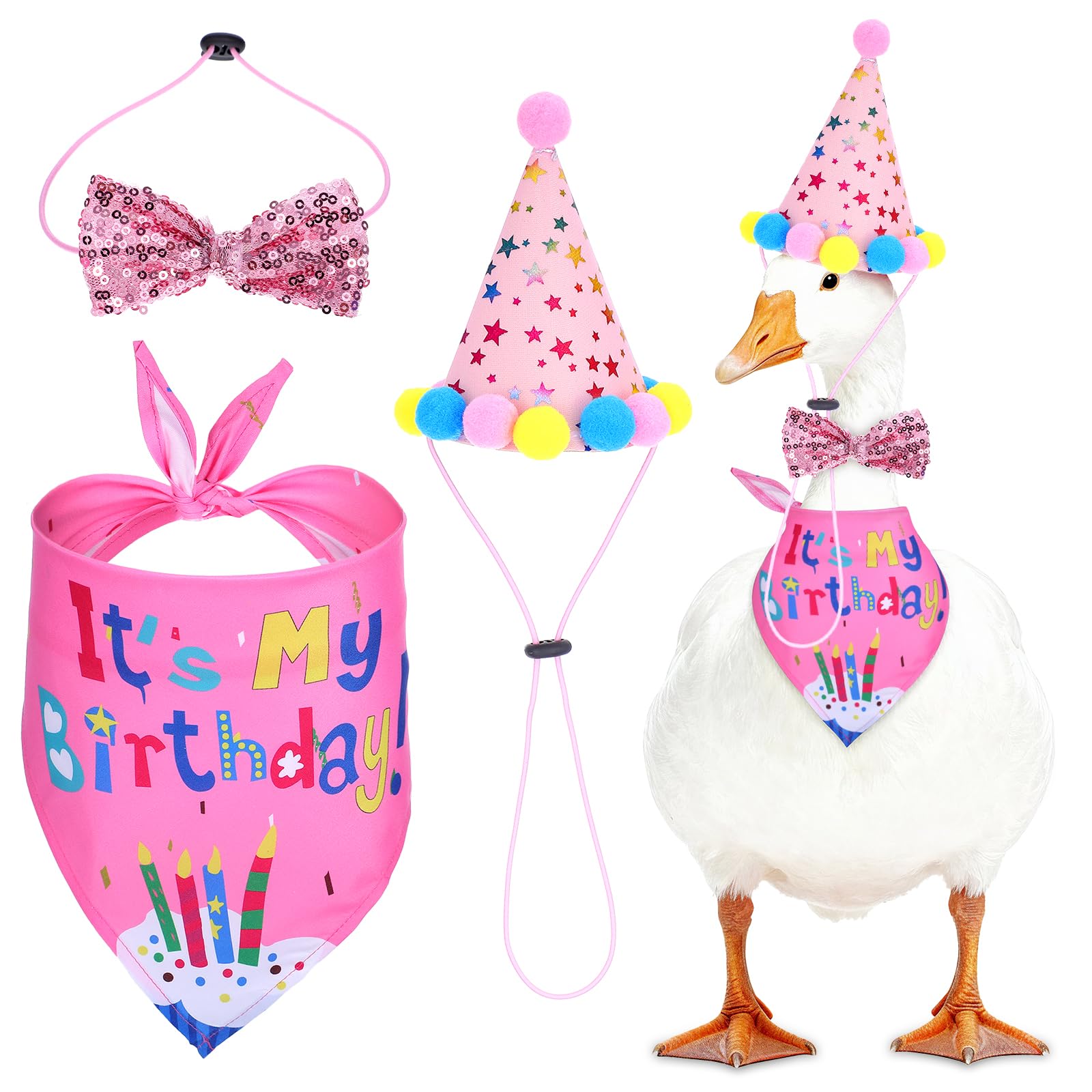 DOPENSPI 3-piece pink birthday outfit on porch goose adds festive outdoor decor.