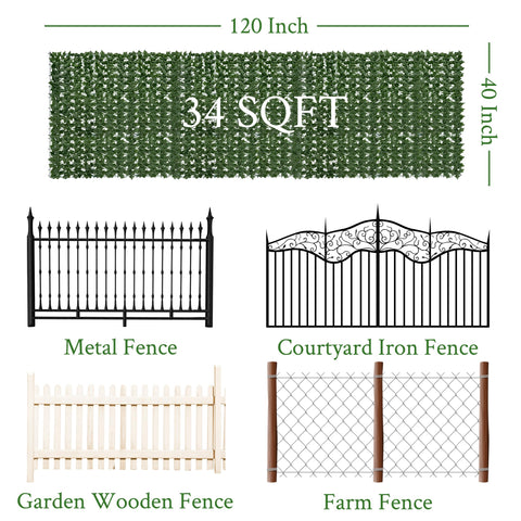 DOPGIB outdoor indoor ivy wall showing adaptable privacy backdrop.