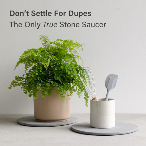 Dorai care guide with included sandpaper for stains