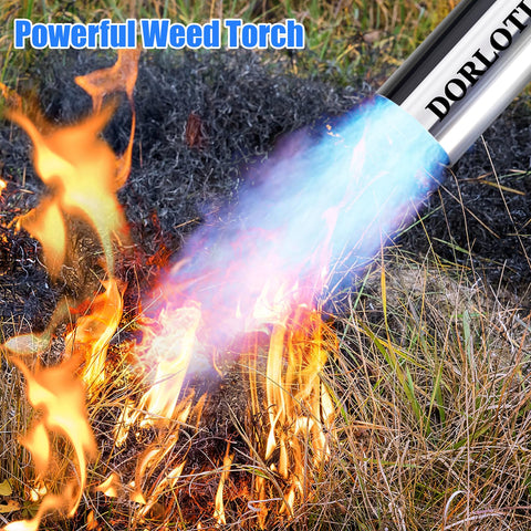 DORLOTI chemical-free weed removal for cracks and gaps.