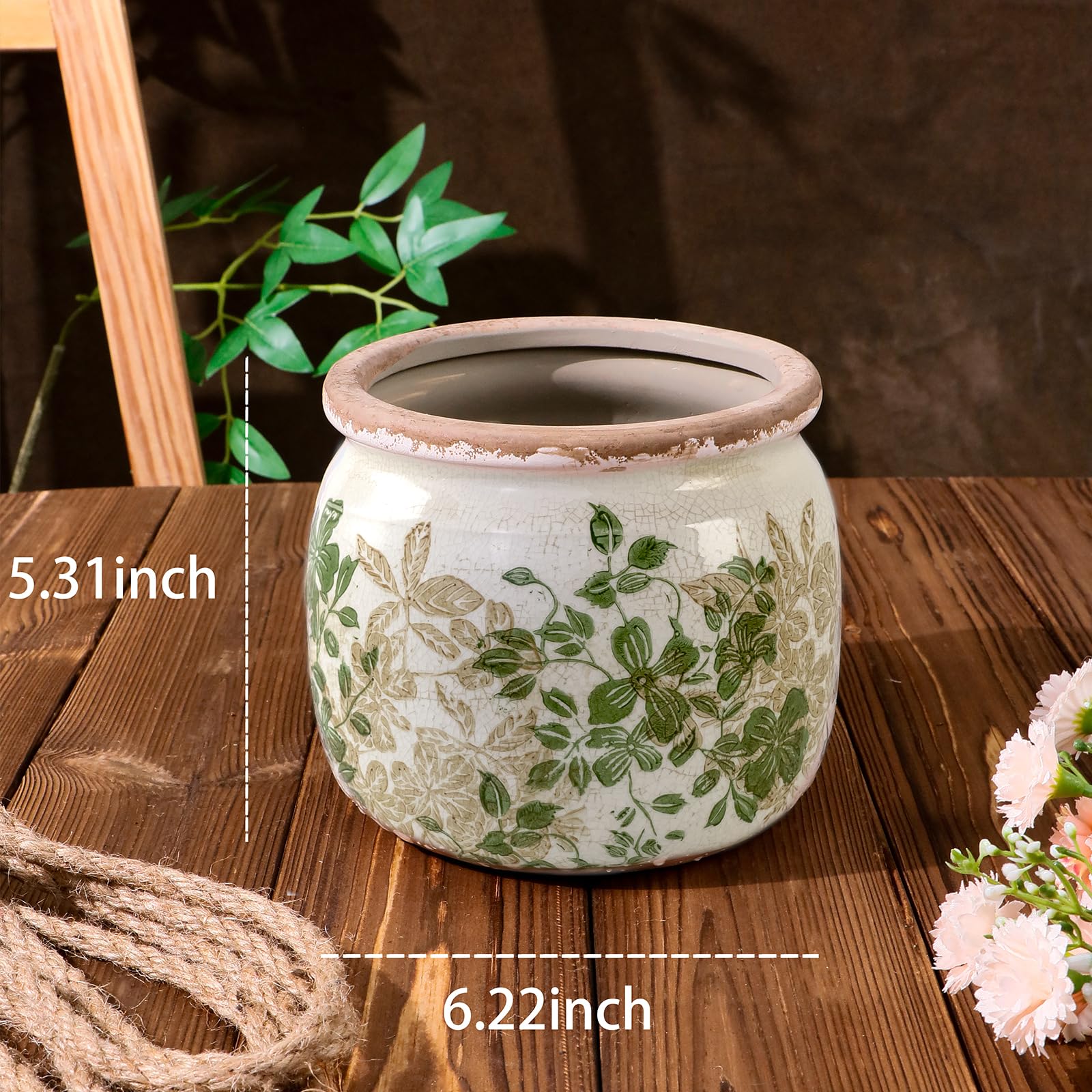 Dosayes ceramic flower pot with floral design for stylish indoor greenery
