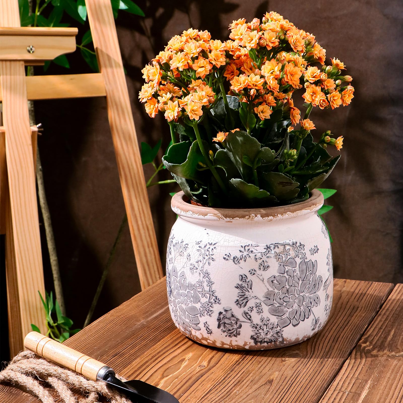 Dosayes Flower Pot compact size fits apartments and small spaces gracefully.