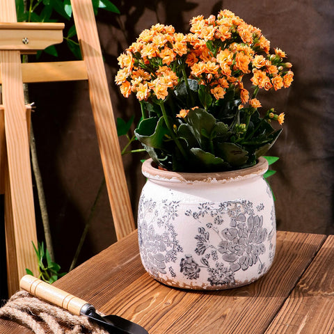 Dosayes Flower Pot compact size fits apartments and small spaces gracefully.