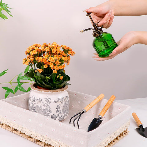 Dosayes Flower Pot protective pad keeps tabletops safe while showcasing plants.