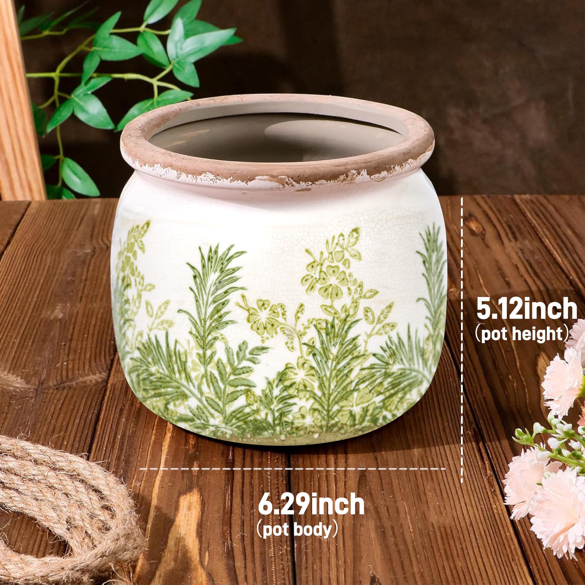 Dosayes gift ready flower pot ideal for plant lovers
