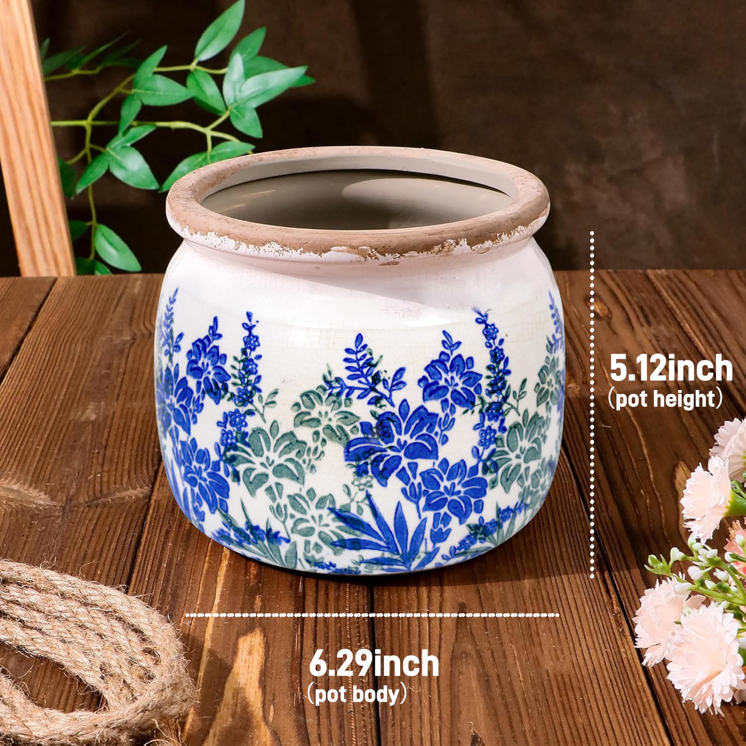 Dosayes indoor-outdoor planter suitable for shelves, desks, and balconies.