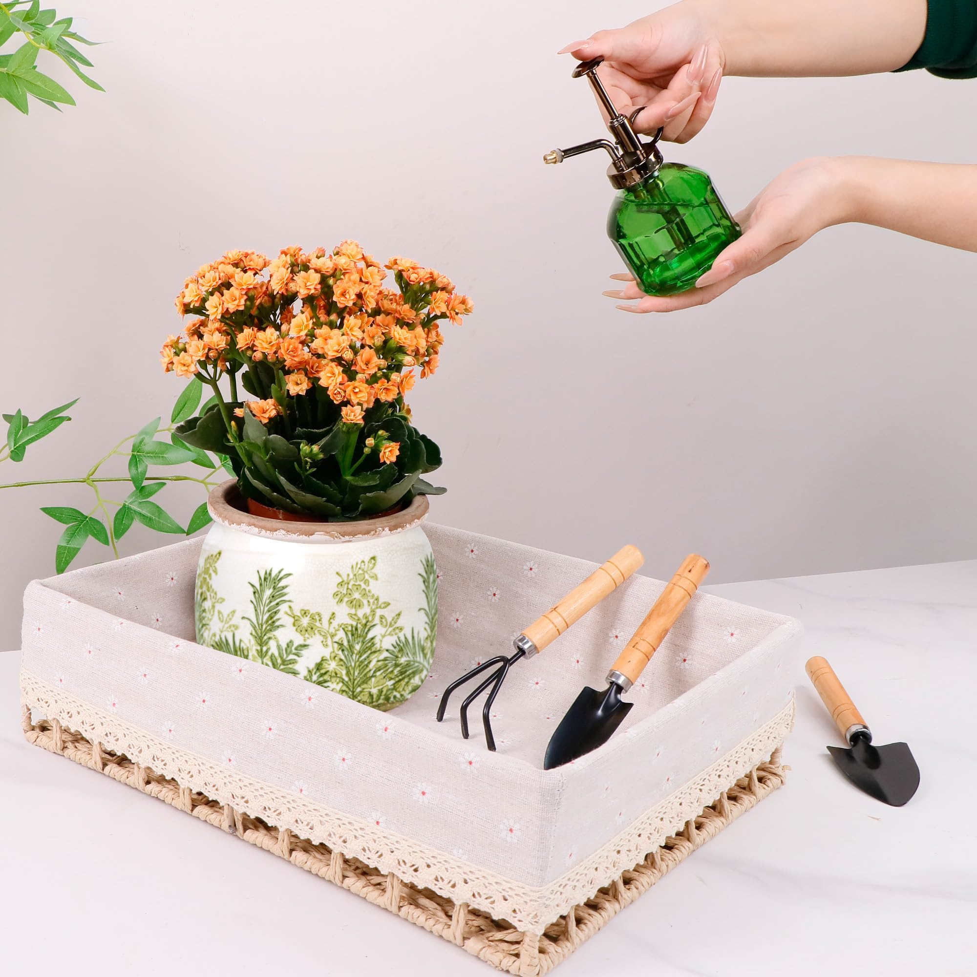 Dosayes ceramic flower pot with drainage hole and sturdy base