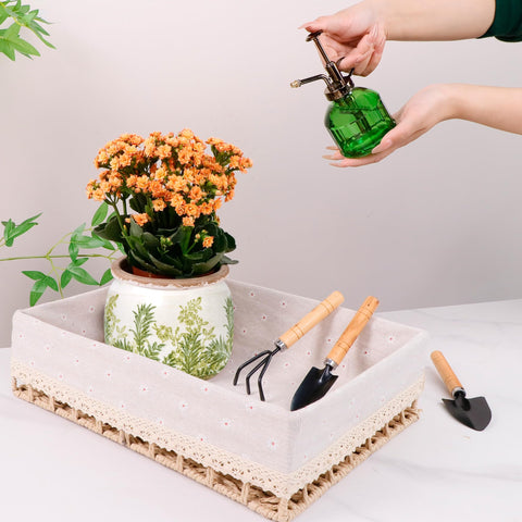 Dosayes ceramic flower pot with drainage hole and sturdy base