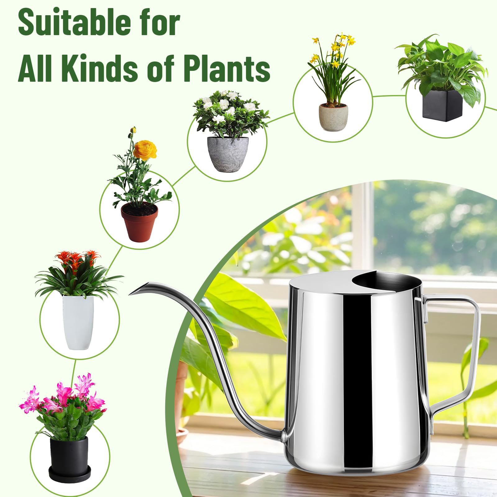 Doseno indoor-use watering can ensures controlled flow for houseplants.