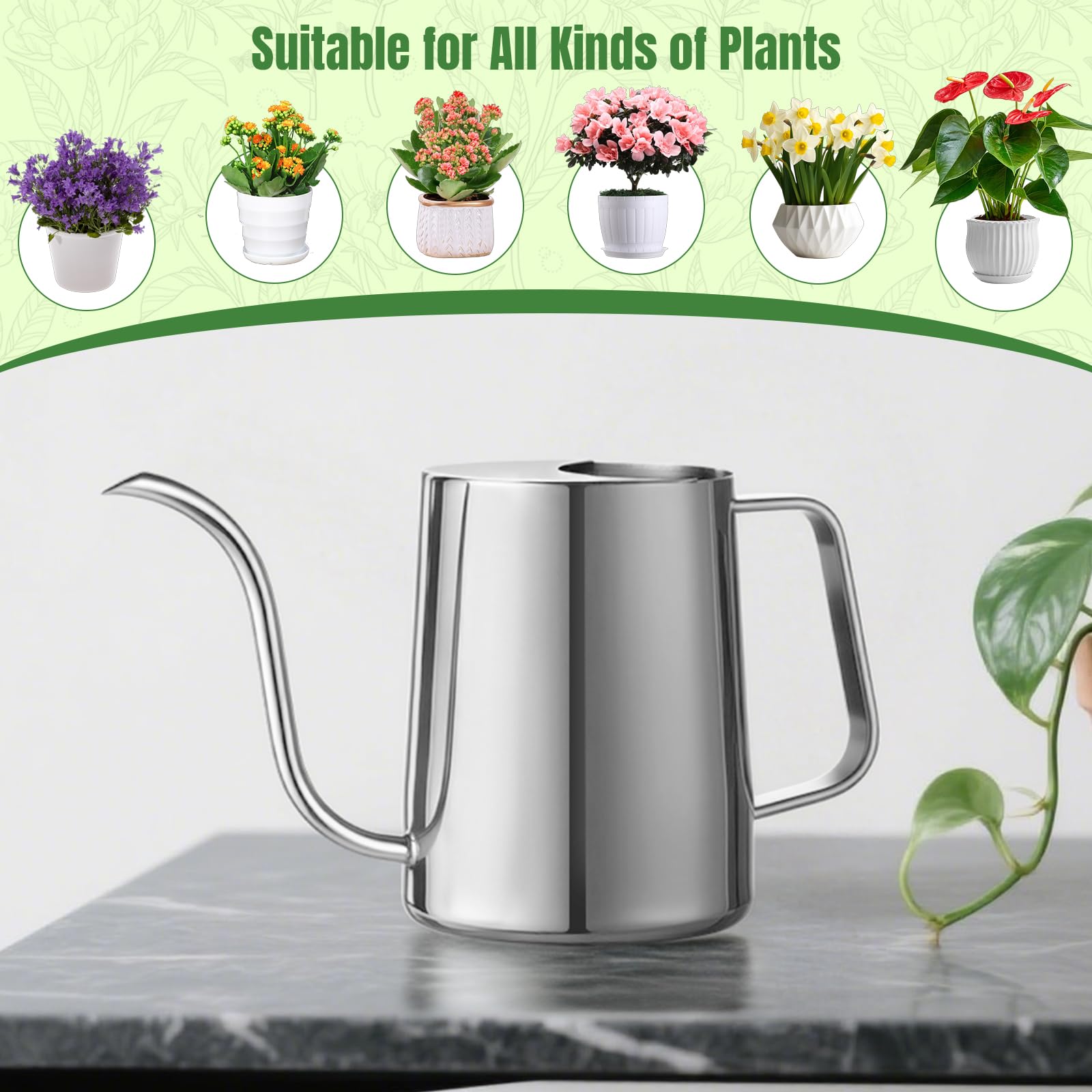 Doseno watering can shown in an indoor plant setup for daily use