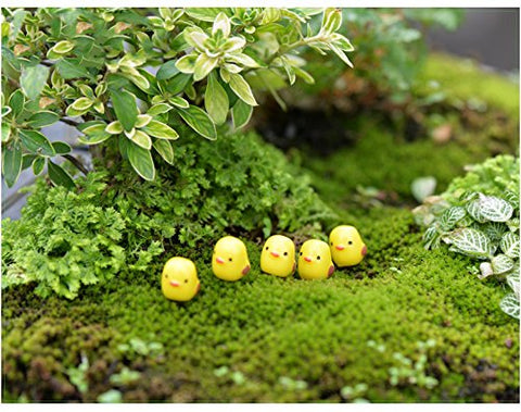 DoTebpa resin chickens terrarium scene enhances micro landscape ideas