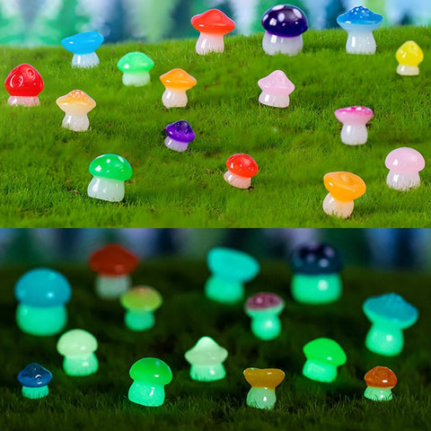 DoTebpa tiny glow mushrooms suited for fish tanks and aquariums.