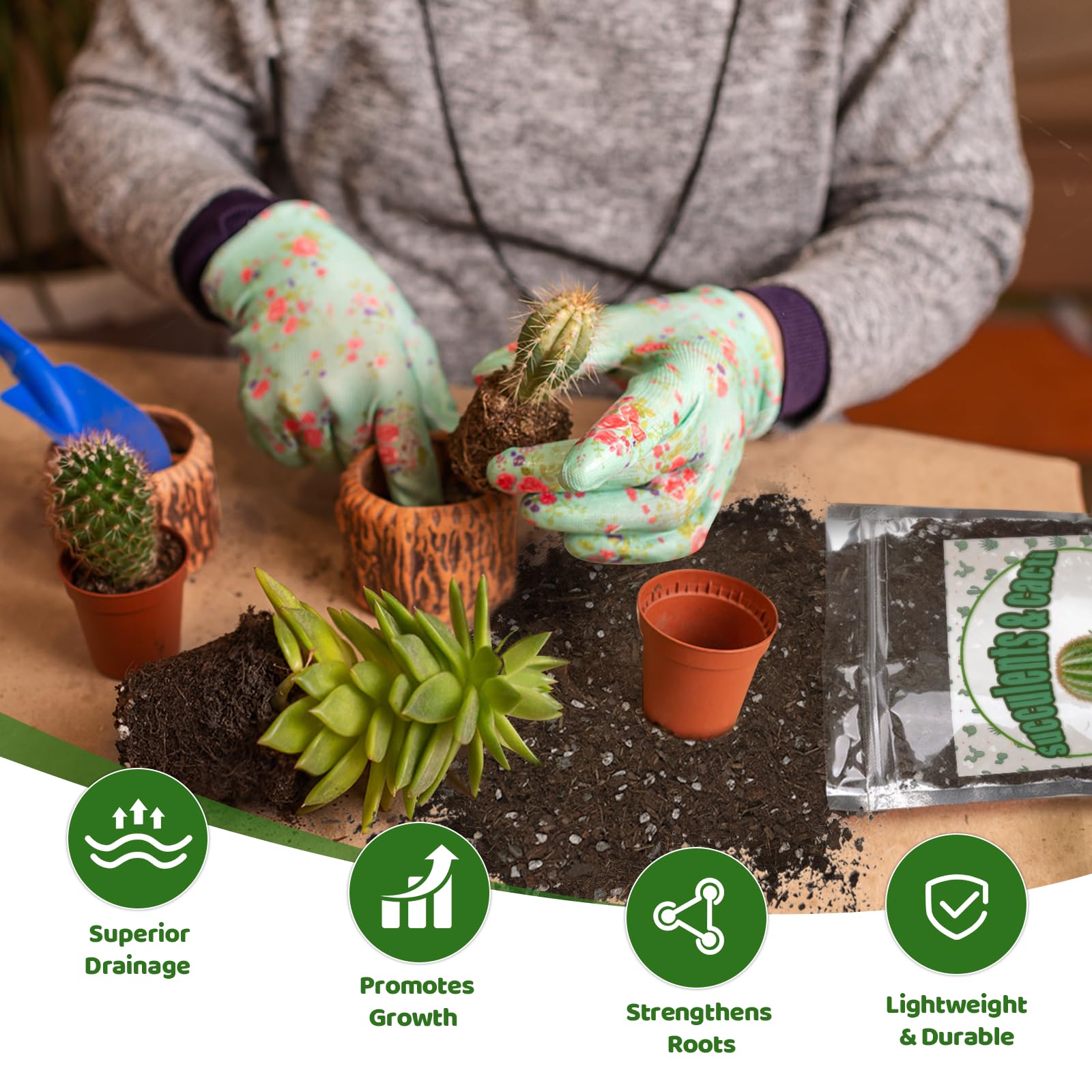 Aerated Doter soil mix with perlite and sand promoting healthy root growth.
