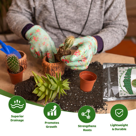 Aerated Doter soil mix with perlite and sand promoting healthy root growth.