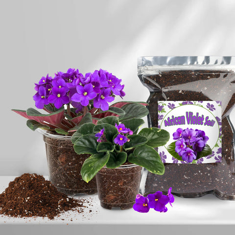 Doter African Violet Potting Mix pack highlights nutrient-rich blend for African Violets