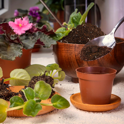 Doter African Violet Potting Mix soil structure preventing root crowding in pots