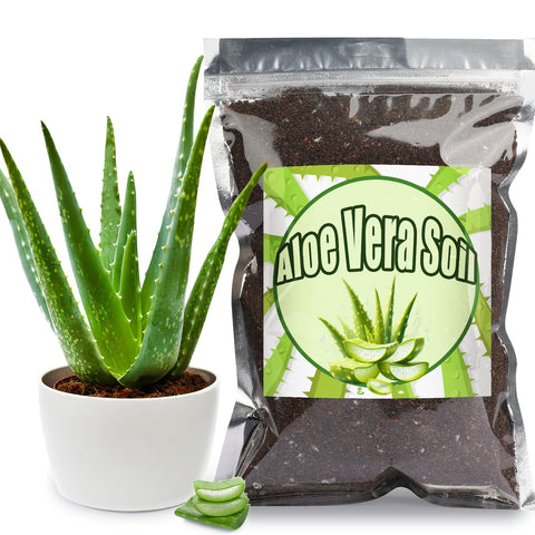 Doter Aloe Vera Soil Mix 1qt poured into a pot for seedlings.