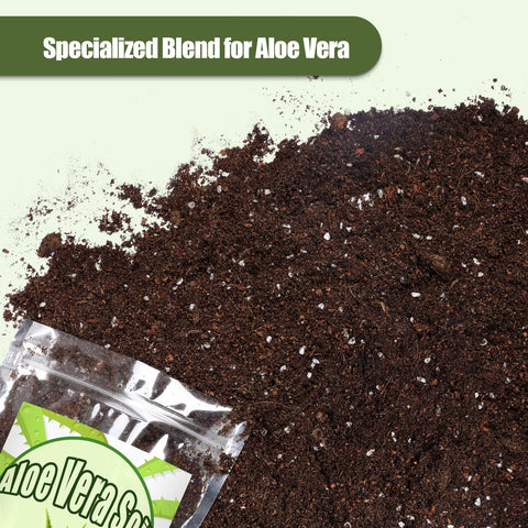 Close-up of soil texture showing well-draining blend for Aloe Vera.