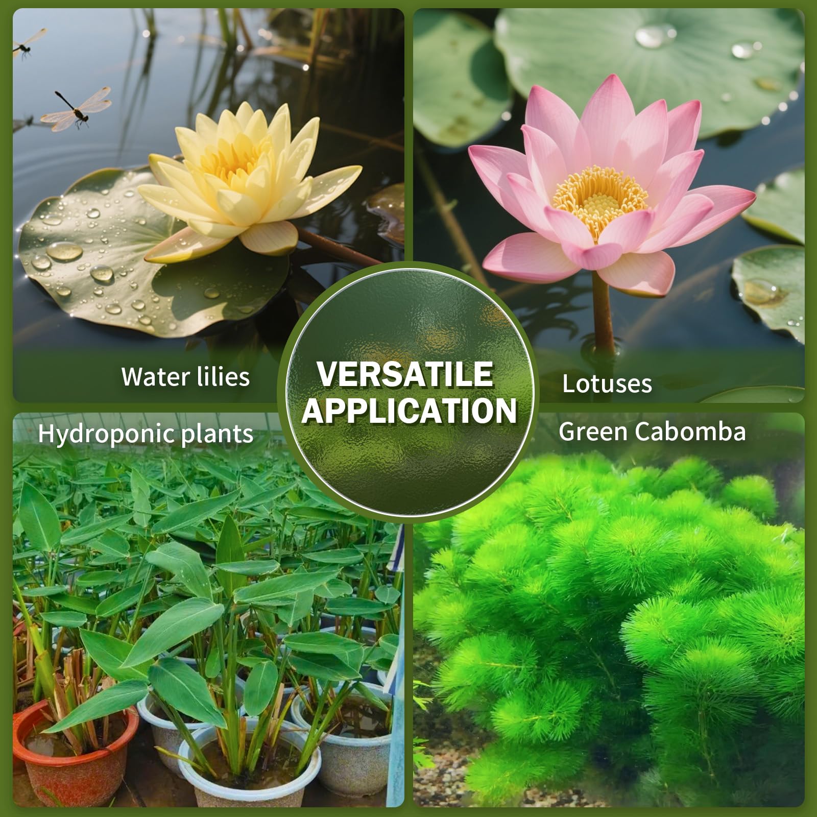 Doter Aquatic Plant Soil supports water lilies with balanced nutrients.