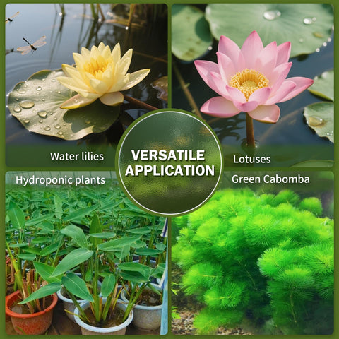 Doter Aquatic Plant Soil supports water lilies with balanced nutrients.