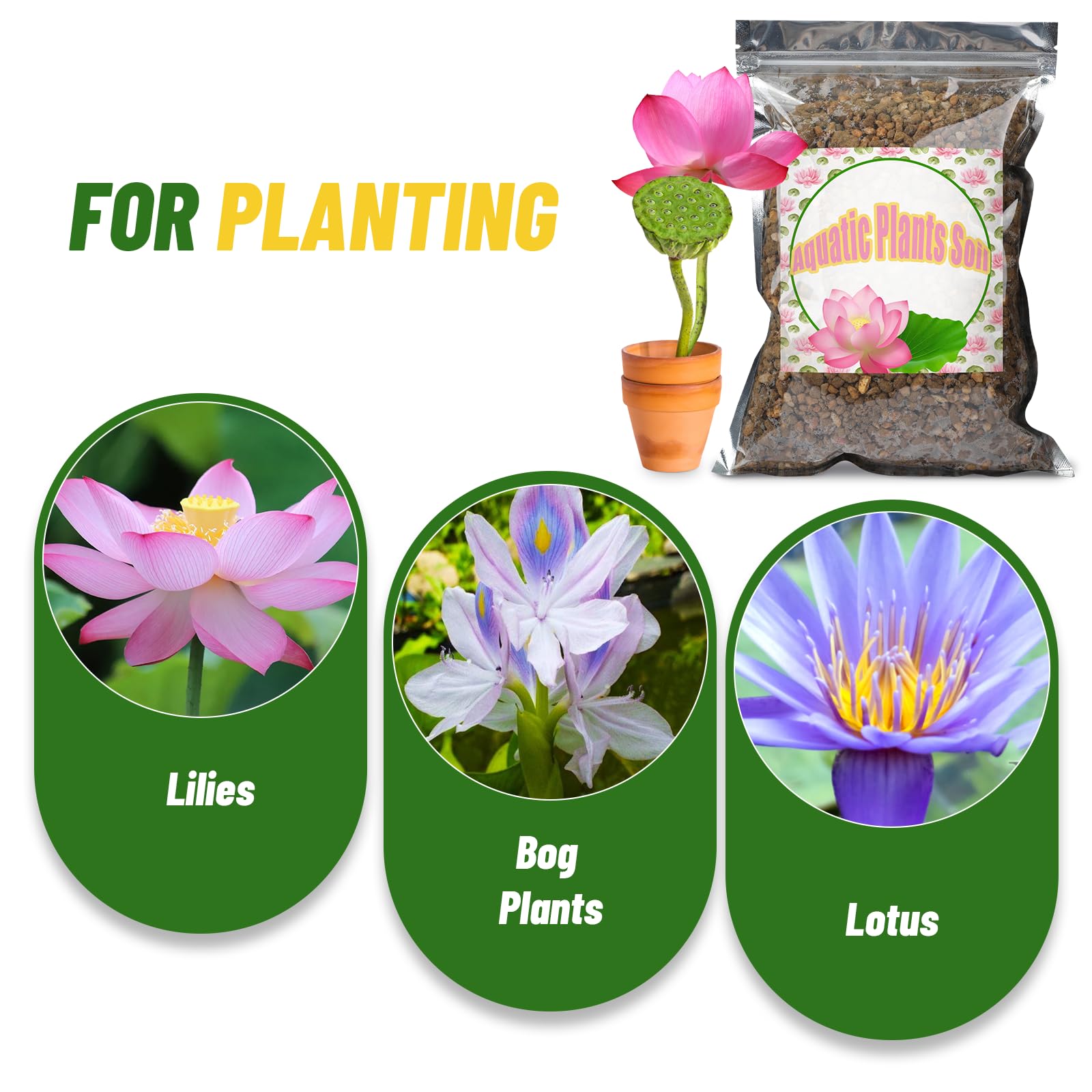 Doter Aquatic Soil texture close-up highlights balanced particle size for rooting.