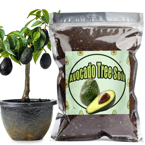 Doter Organic Avocado Soil Mix 1qt promotes balanced soil conditions for fruiting plants.