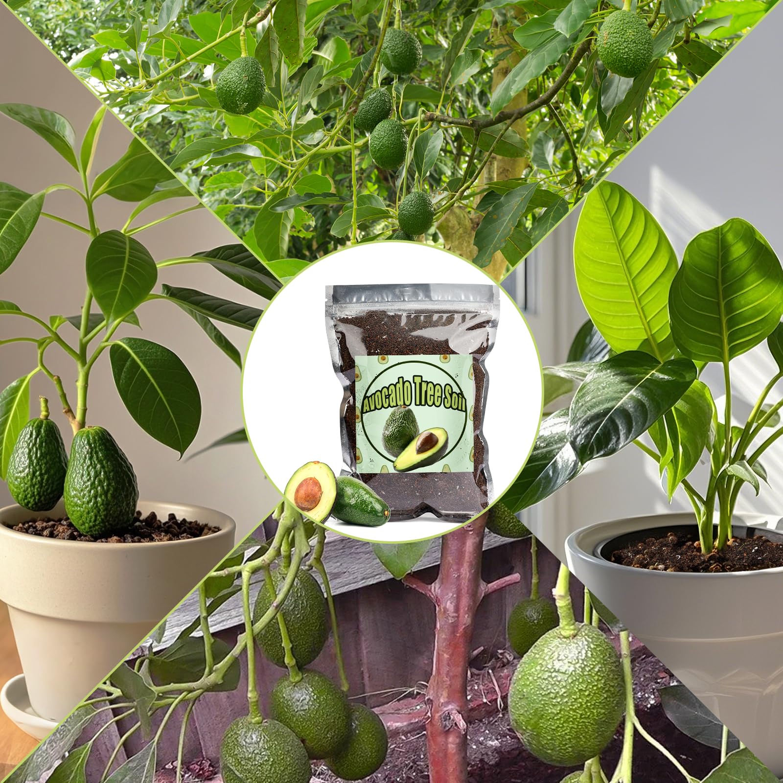 Doter Organic Avocado Soil Mix 1qt ready for potting and transplanting in containers.
