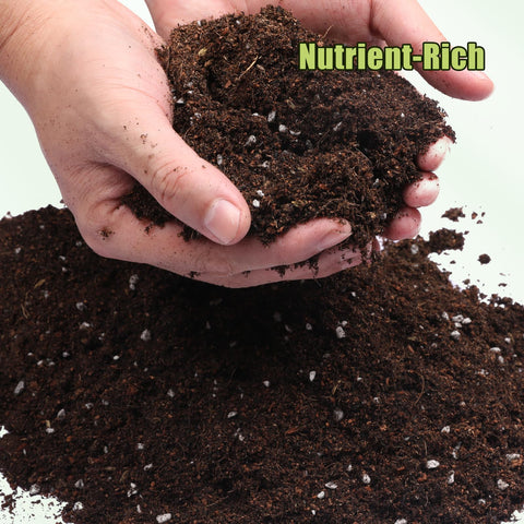 Doter Avocado Soil Mix 1qt texture highlights airy drainage supporting root development.
