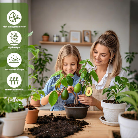 Doter Avocado Soil Mix 1qt vermiculite component helps retain moisture for seedlings.