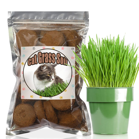 Doter biodegradable discs support sustainable indoor gardening with less waste.