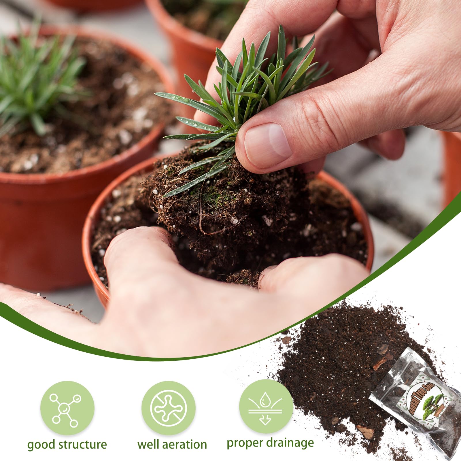 Doter Bonsai Soil Mix 1qt excellent drainage reduces overwatering risk