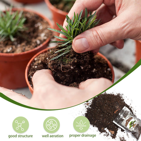 Doter Bonsai Soil Mix 1qt excellent drainage reduces overwatering risk
