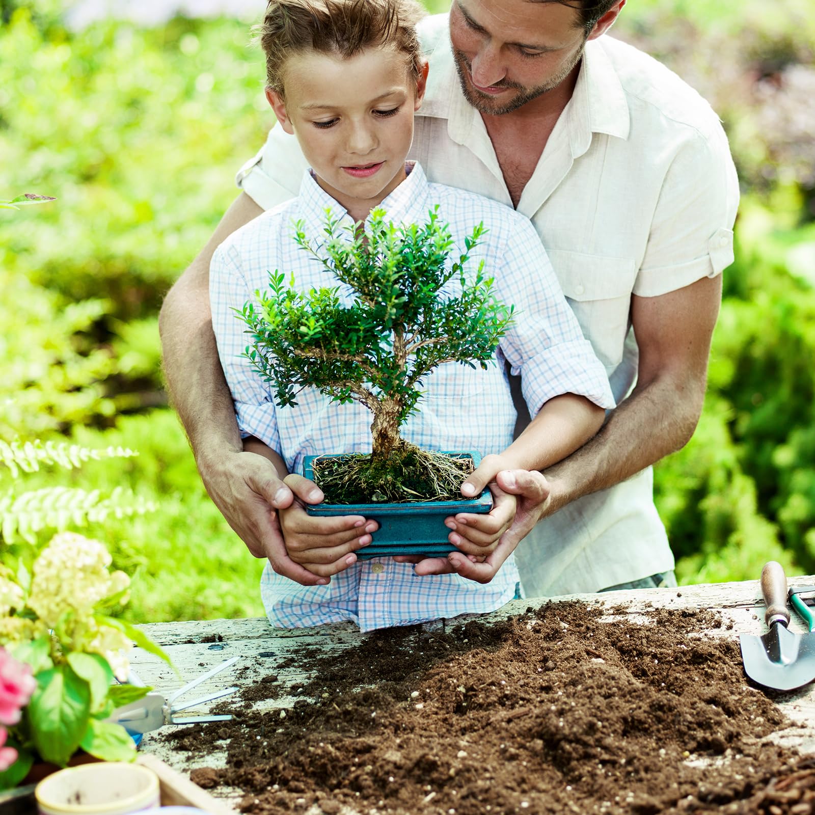 Doter Bonsai Soil Mix 1qt long-lasting nutrients for steady growth