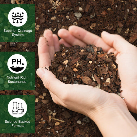 Doter bonsai soil mix after watering demonstrates quick drainage