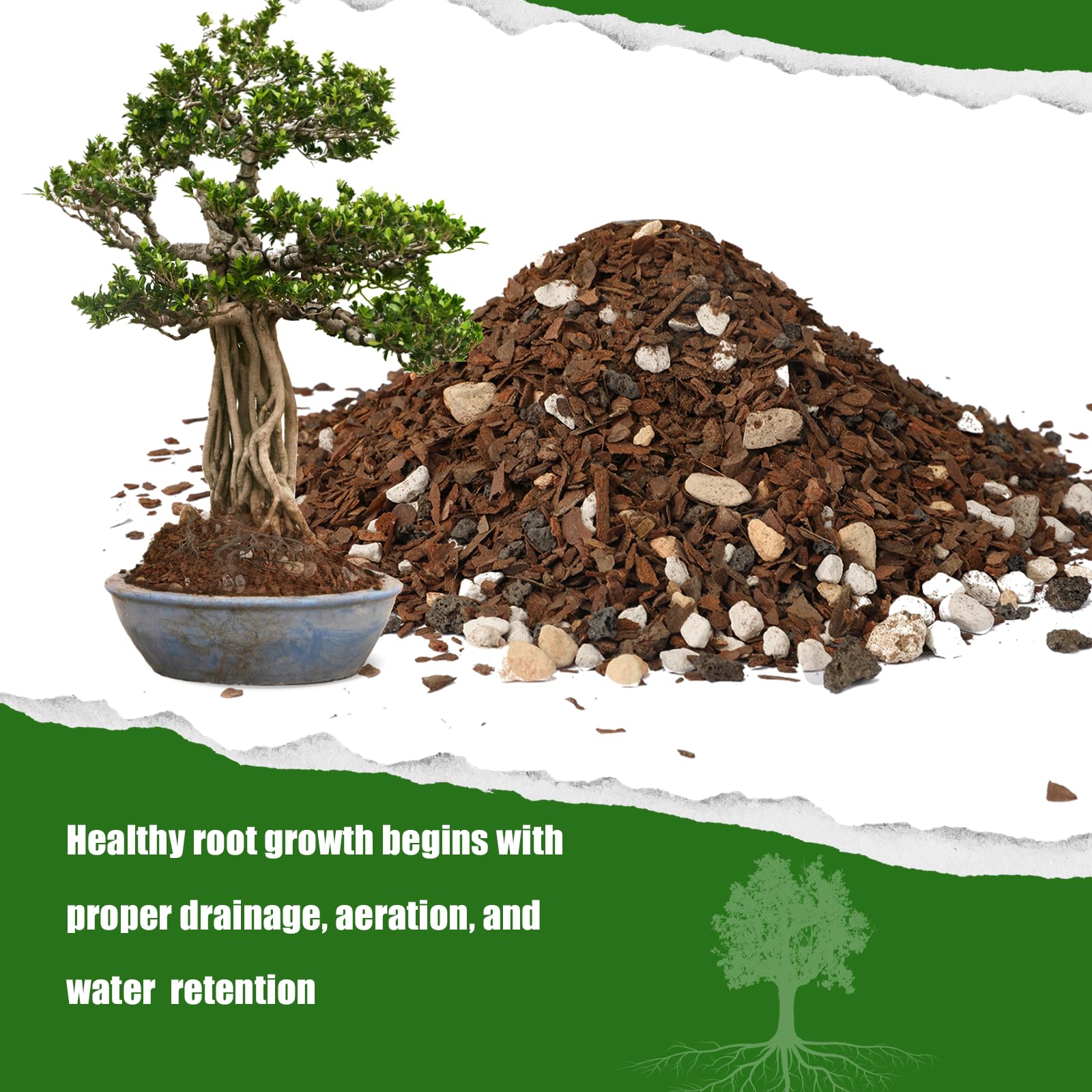 Doter Bonsai Soil Mix drainage example — improves airflow around roots