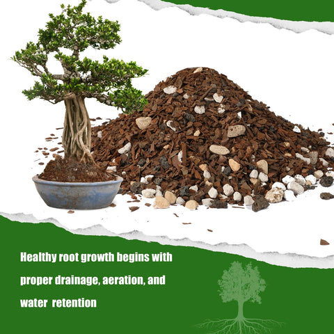 Doter Bonsai Soil Mix drainage example — improves airflow around roots