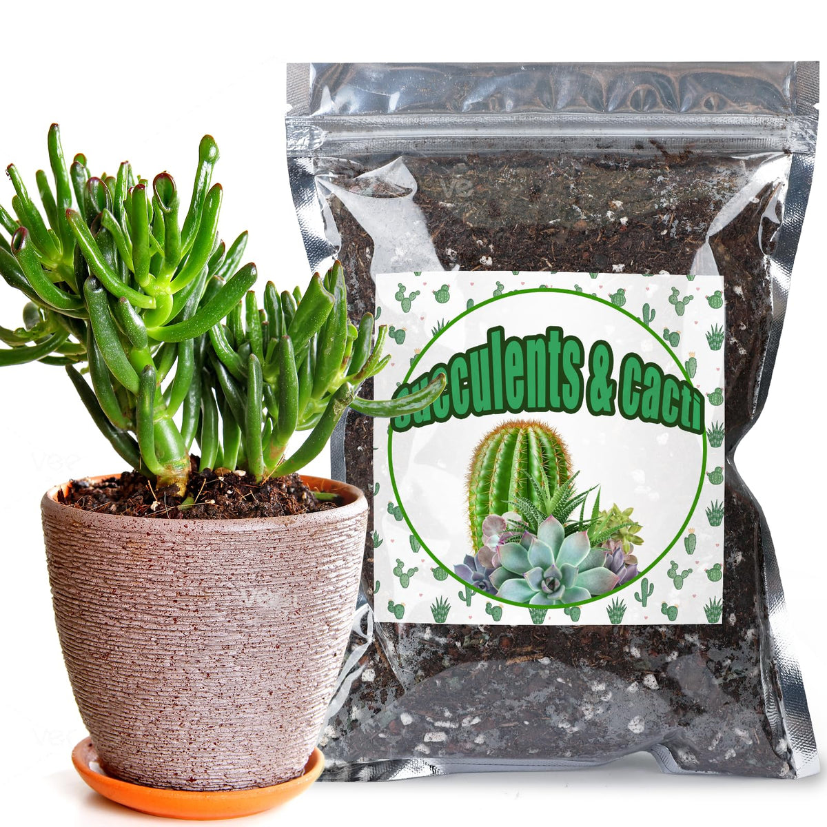 Doter cactus and succulent soil mix 1qt bag front, ready-to-use indoor soil for drainage.
