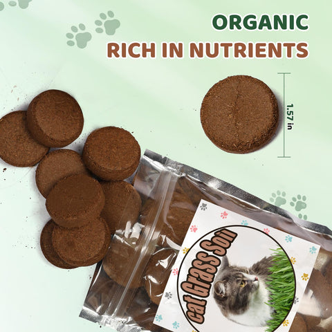 Doter cat-grass disc-expansion shows quick setup for fresh cat grass indoors.