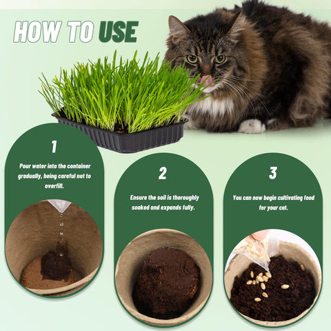 Doter cat grass growth with discs supports healthy grazing indoors.